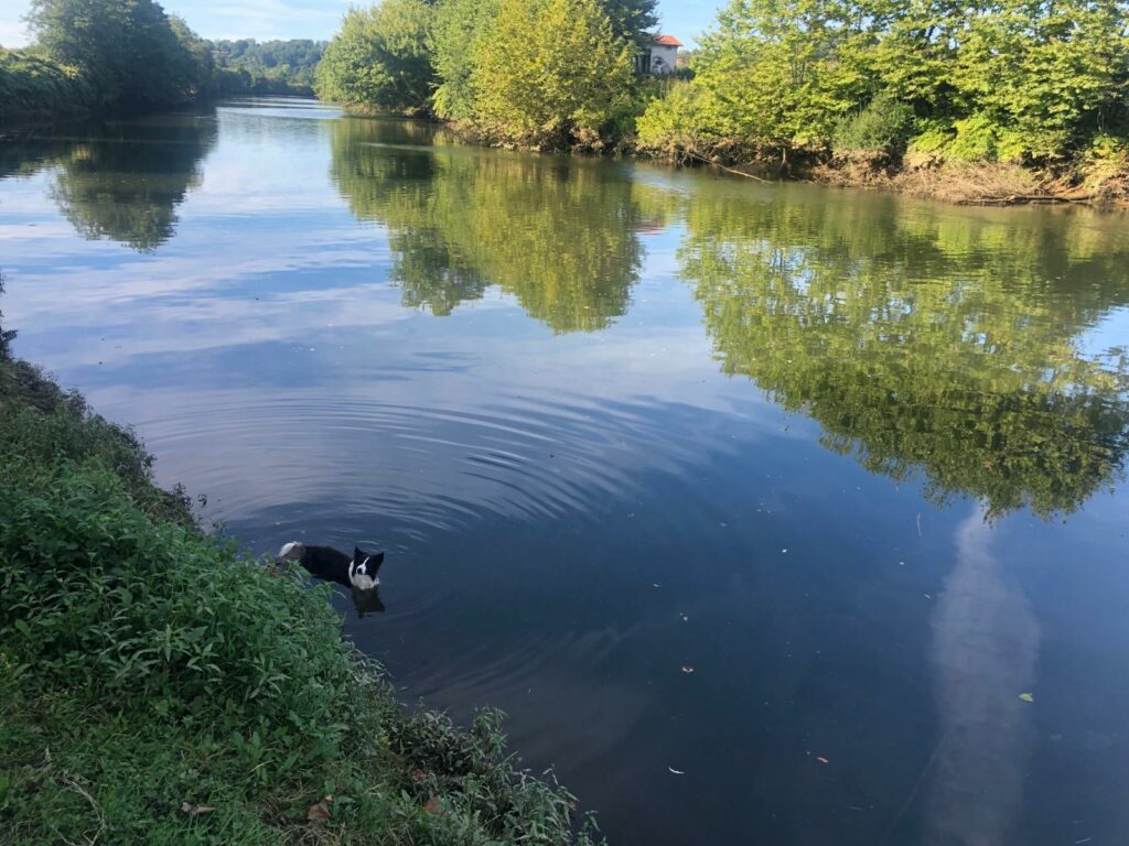 WhatsApp Image 2024-01-25 at 14.32.30 (1)