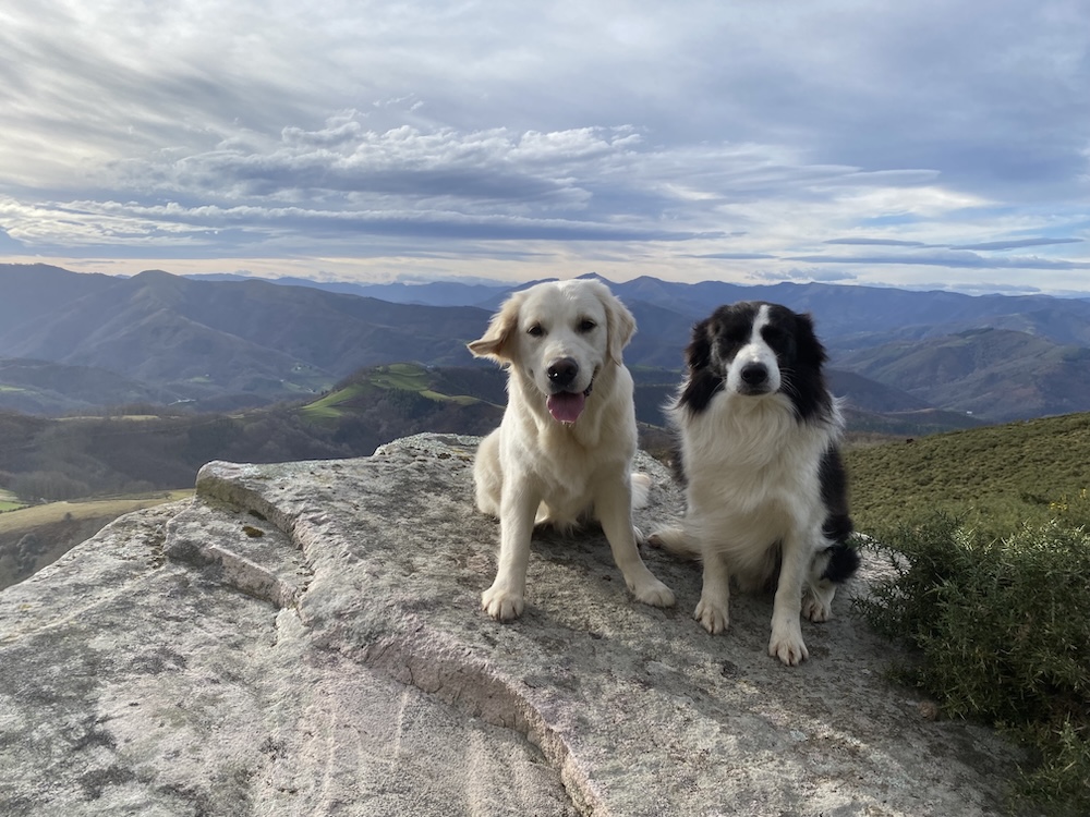 Dihinxenea-maison-hote-ustaritz-pays-basque-tourisme-1